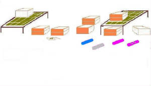 boards1.jpg