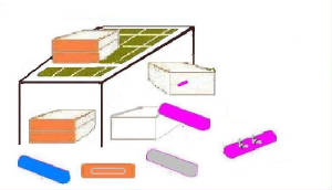 boards2.jpg